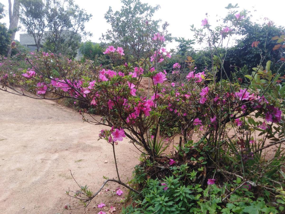 Homestay Forest Cyniciam Homestay Ohiya