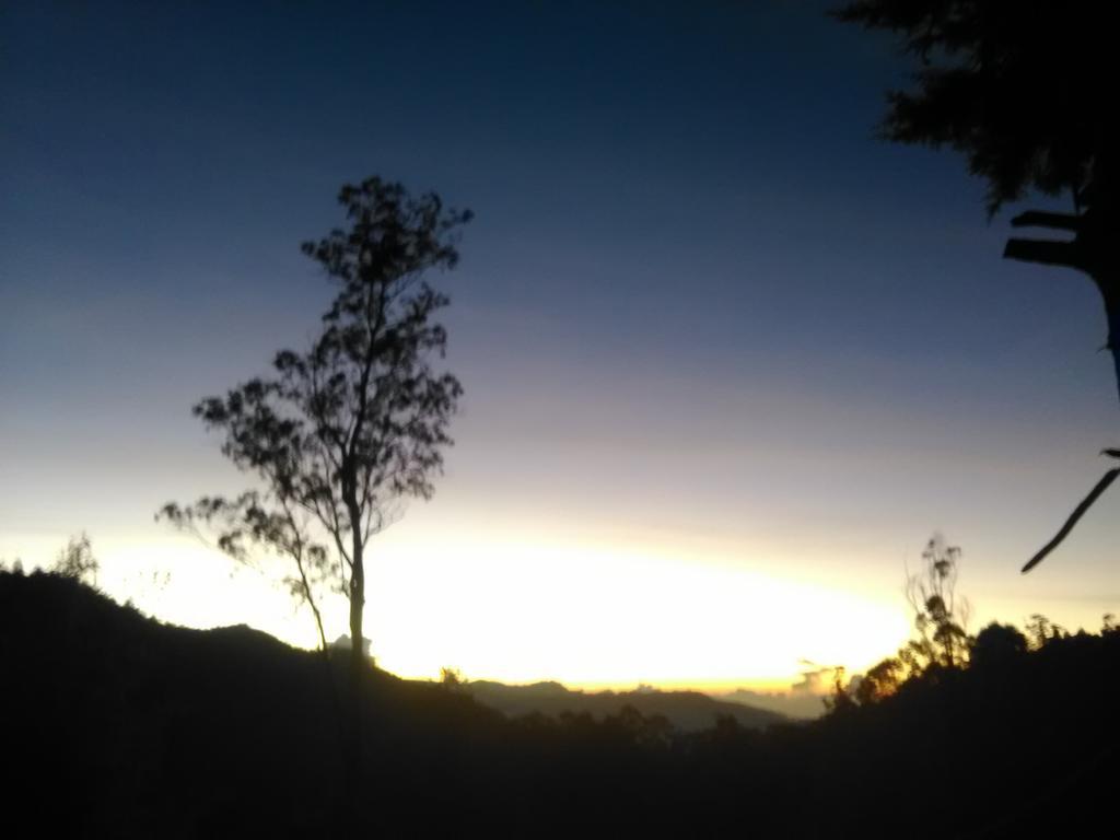 Forest Cyniciam Homestay Ohiya