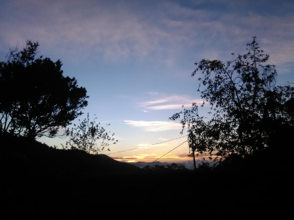 Homestay Forest Cyniciam Homestay Ohiya