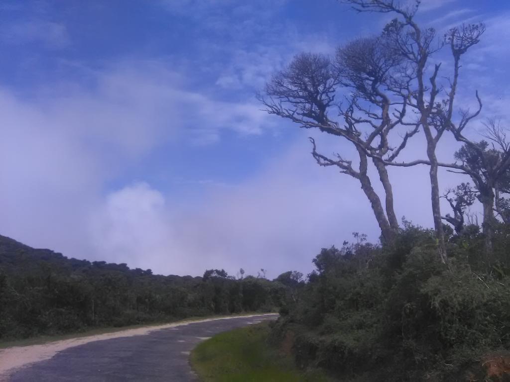 Homestay Forest Cyniciam Homestay Ohiya